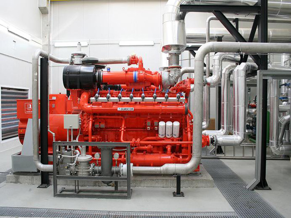 1647998787155252.jpg 弹性减震型补偿器内2.jpg